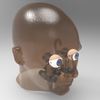 ISO view of eye models in head model